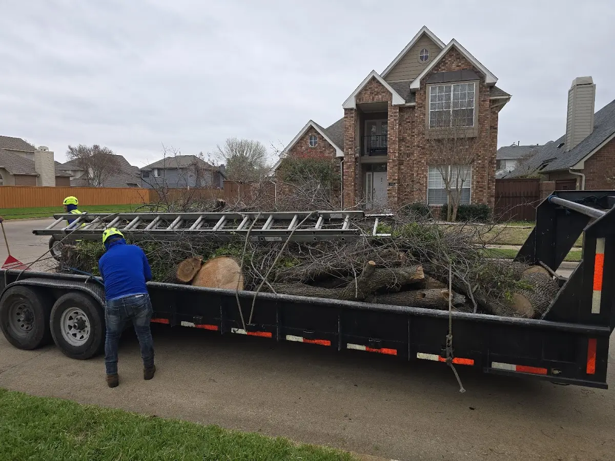 Expert Lot Clearing with proper safety equipment in Mc Queeney